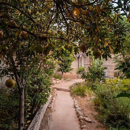 הוילה Vicuña Casa Doris מראה חיצוני תמונה