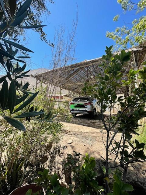 הוילה Vicuña Casa Doris מראה חיצוני תמונה