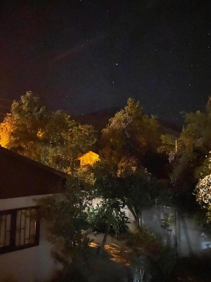 הוילה Vicuña Casa Doris מראה חיצוני תמונה