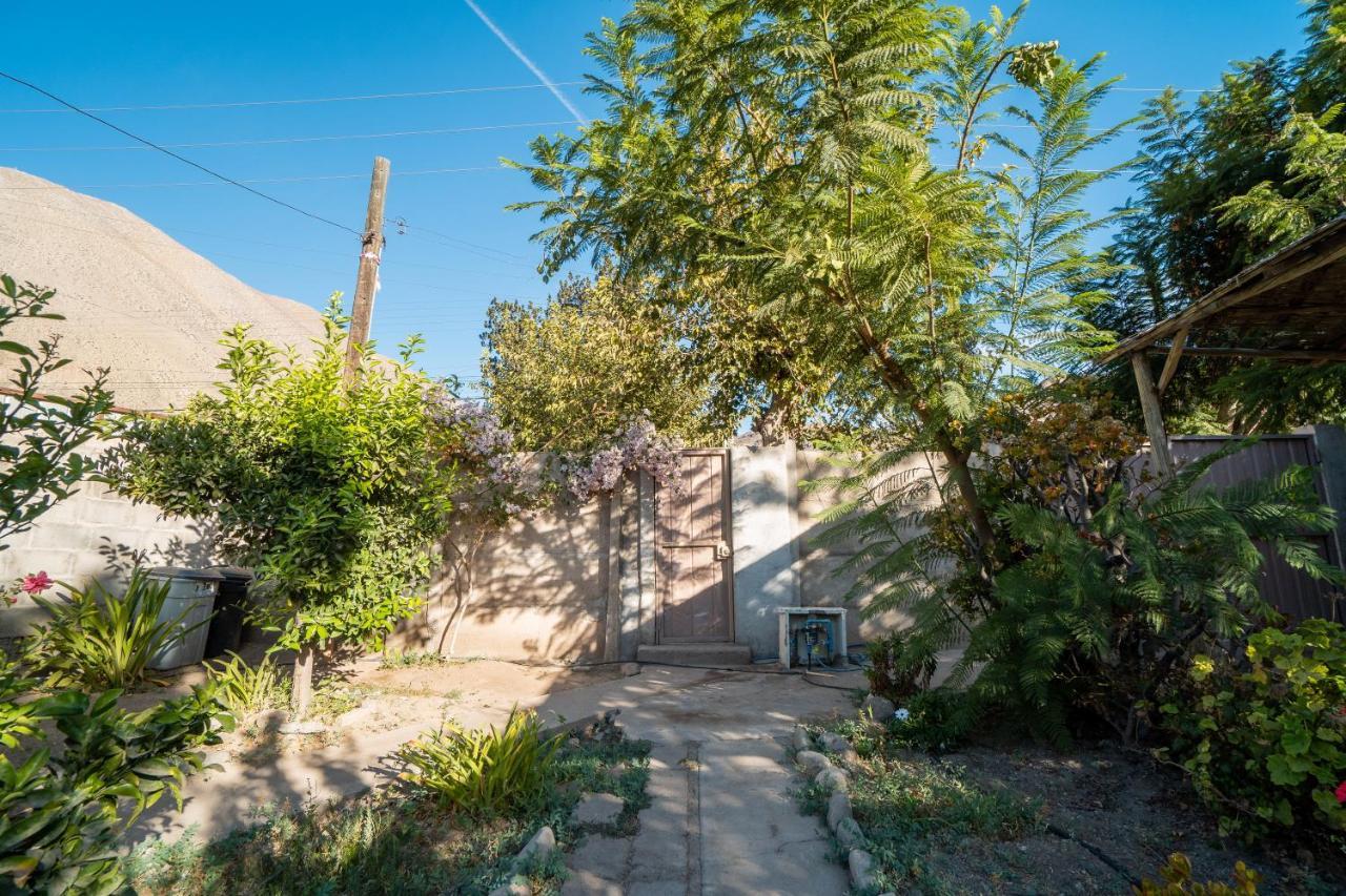 הוילה Vicuña Casa Doris מראה חיצוני תמונה