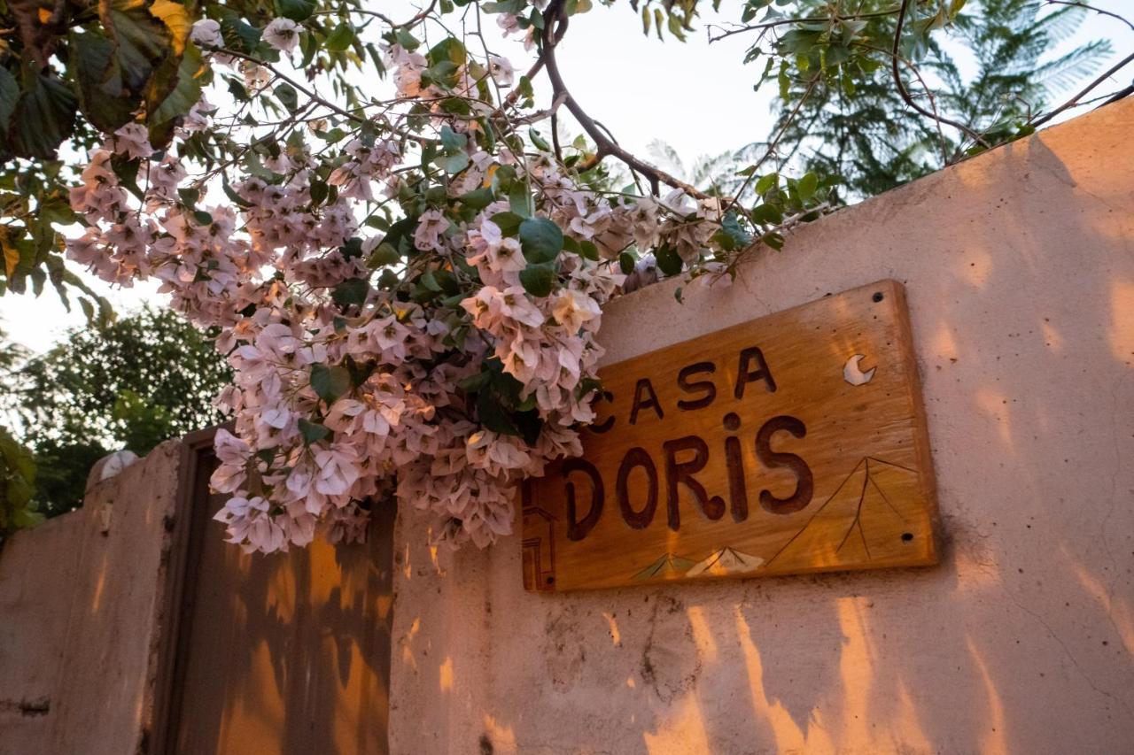 הוילה Vicuña Casa Doris מראה חיצוני תמונה