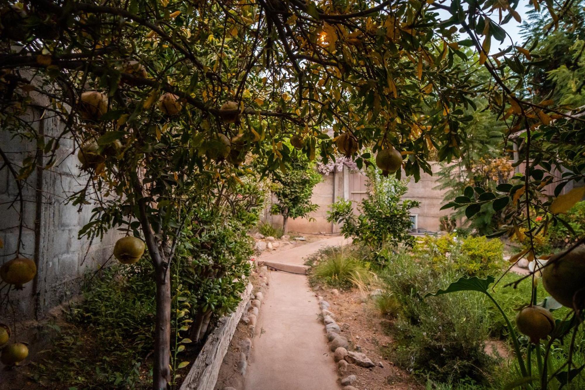 הוילה Vicuña Casa Doris מראה חיצוני תמונה